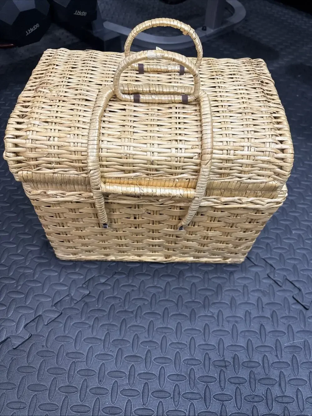 Vintage Woven Wicker Rattan Lidded Picnic Storage Basket Case Folding Handle *